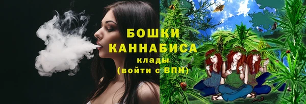 мет Протвино