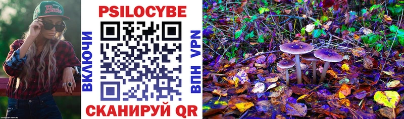 Галлюциногенные грибы Magic Shrooms  наркотики  Краснодар 