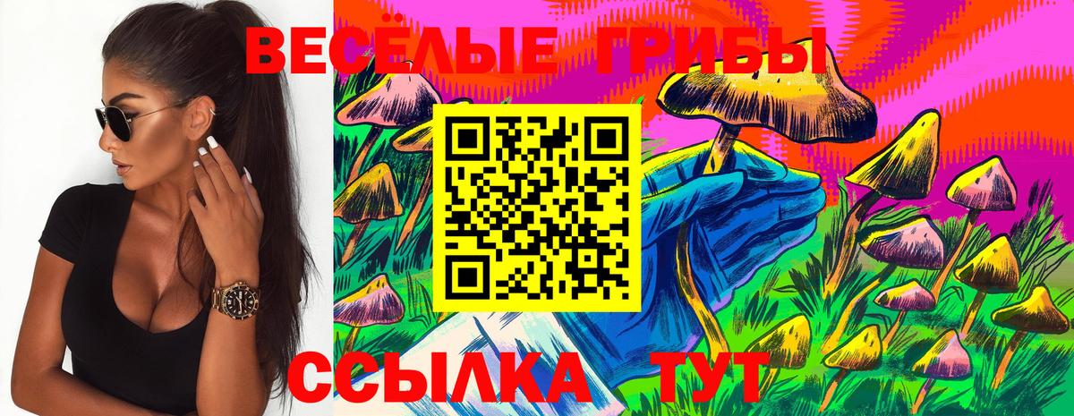 Псилоцибиновые грибы Cubensis  Вход с VPN  магазин    Краснодар 